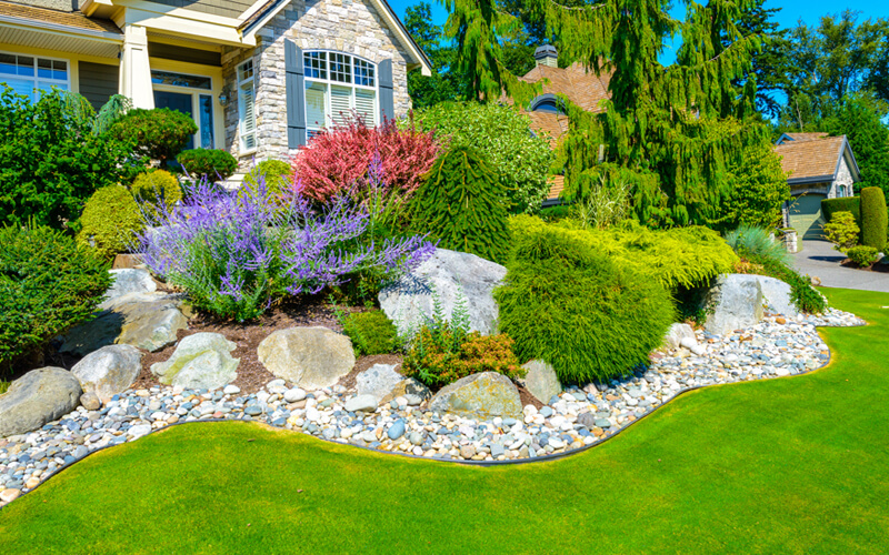 landscaping-image-1